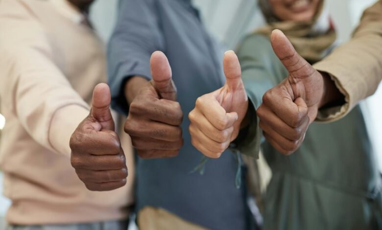 digital network optimization services